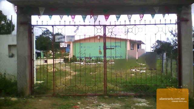 Entrada (vista previa)