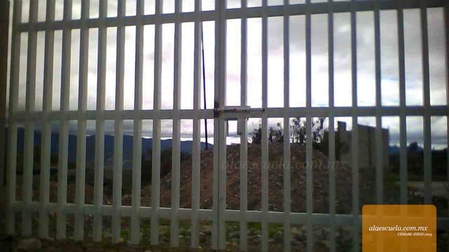 Entrada (vista previa)