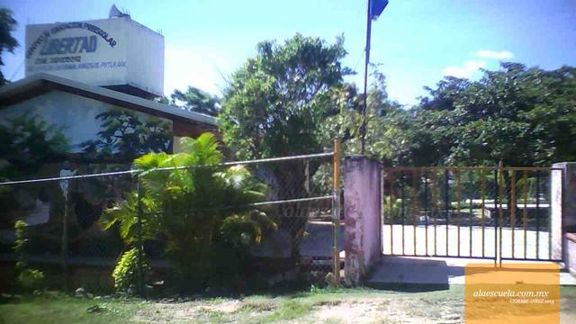 Entrada (vista previa)