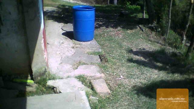 Áreas (vista previa)