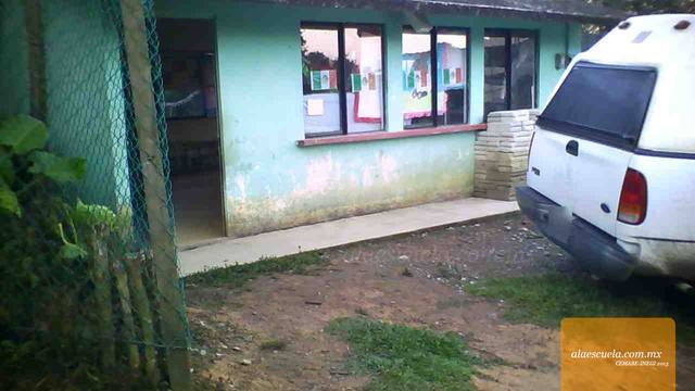 Entrada (vista previa)