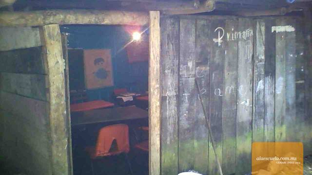 Entrada (vista previa)