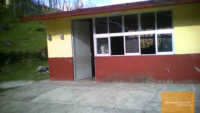 Entrada (vista previa)