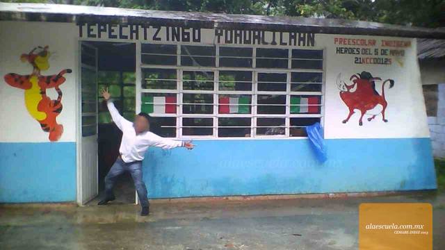 Entrada (vista previa)