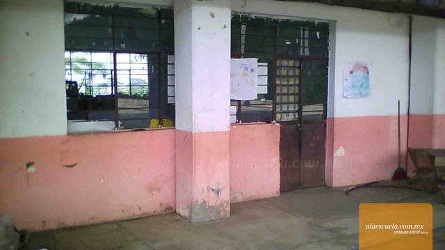 Entrada (vista previa)