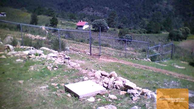 Entrada (vista previa)