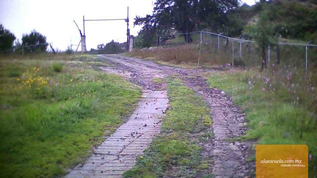 Entrada (vista previa)