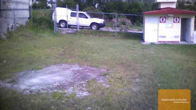 Entrada (vista previa)