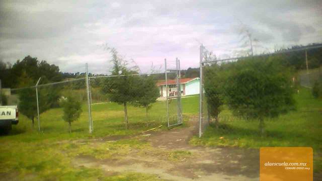 Entrada (vista previa)