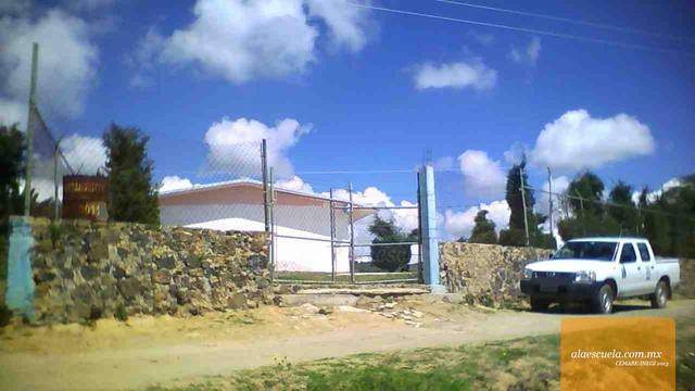 Entrada (vista previa)