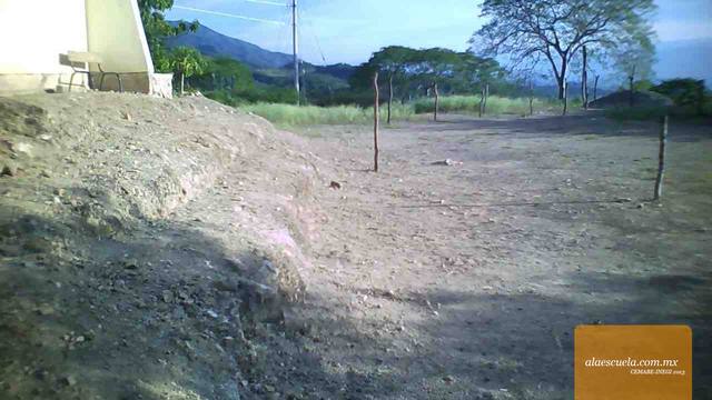 Áreas (vista previa)