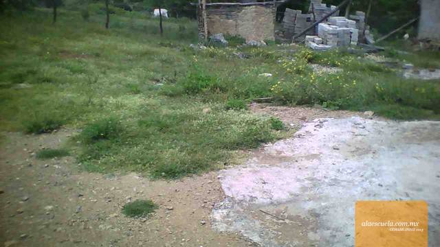 Áreas (vista previa)