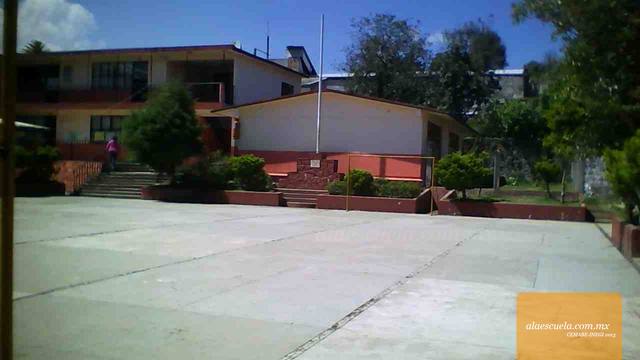 Entrada (vista previa)