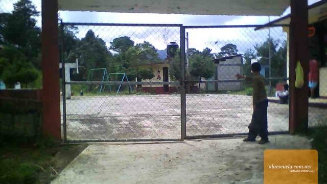 Entrada (vista previa)