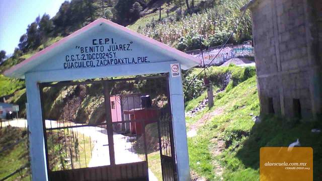 Entrada (vista previa)