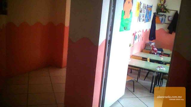 Entrada (vista previa)