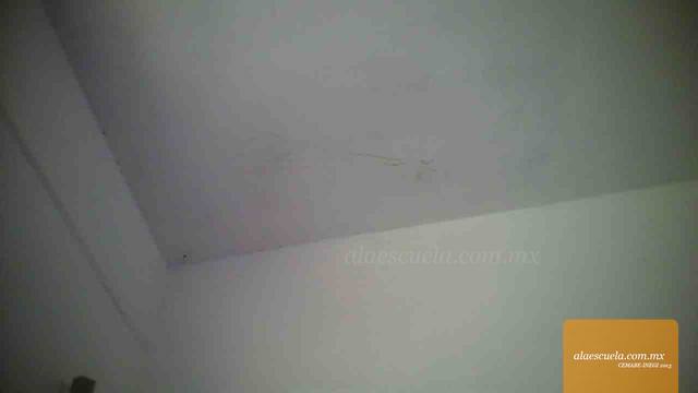 Aulas (vista previa)