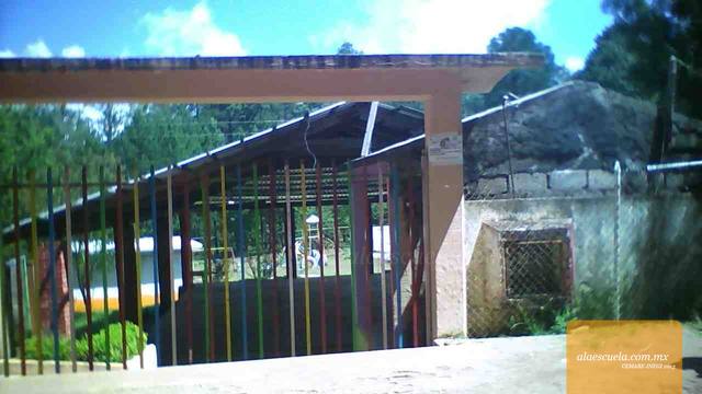 Entrada (vista previa)