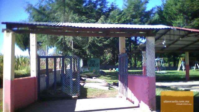 Entrada (vista previa)