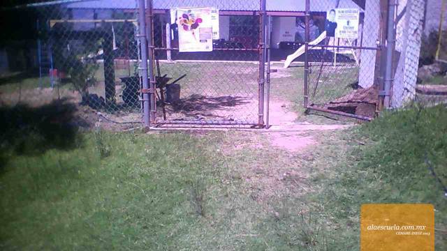 Entrada (vista previa)