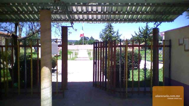 Entrada (vista previa)