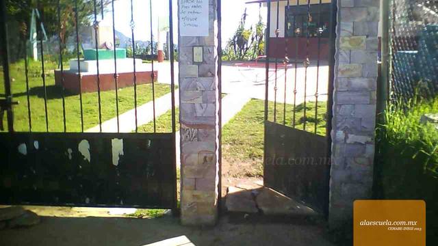 Entrada (vista previa)