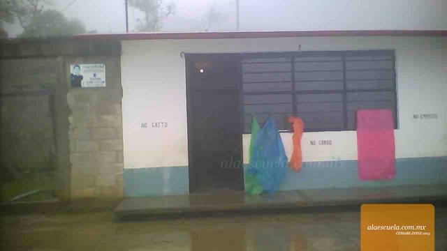 Entrada (vista previa)