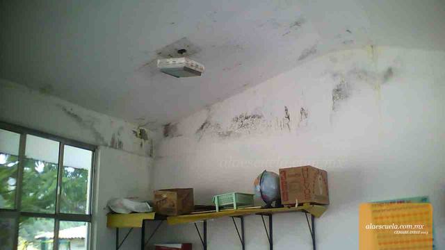 Aulas (vista previa)