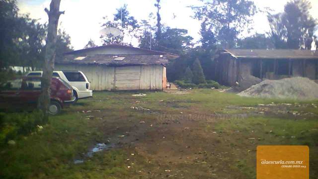 Entrada (vista previa)