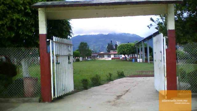 Entrada (vista previa)