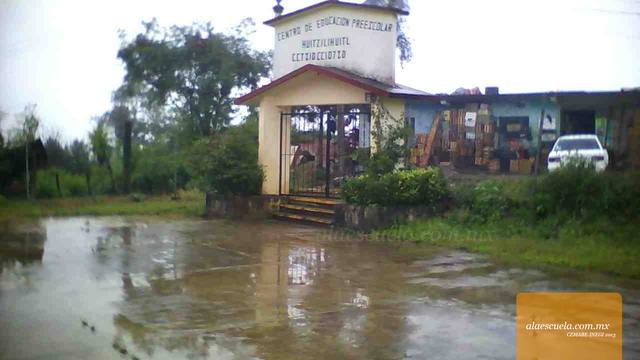 Entrada (vista previa)