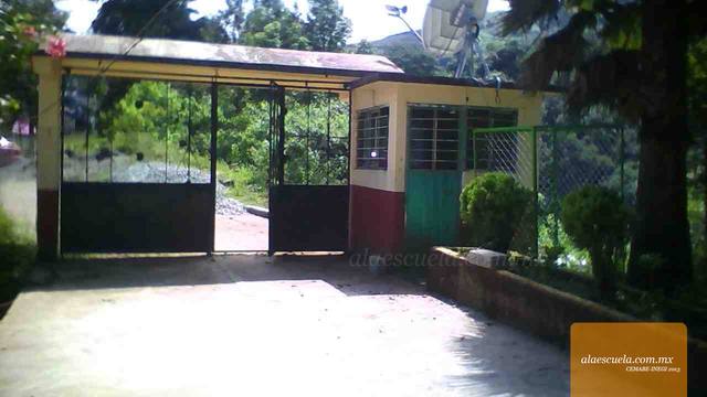 Entrada (vista previa)