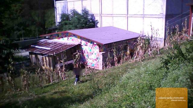 Entrada (vista previa)