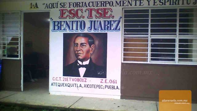 Entrada (vista previa)