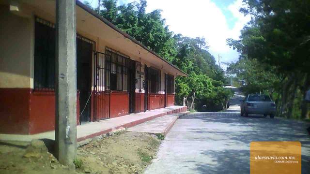 Entrada (vista previa)