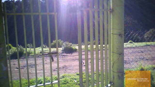 Entrada (vista previa)