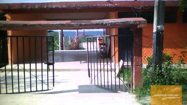 Entrada (vista previa)