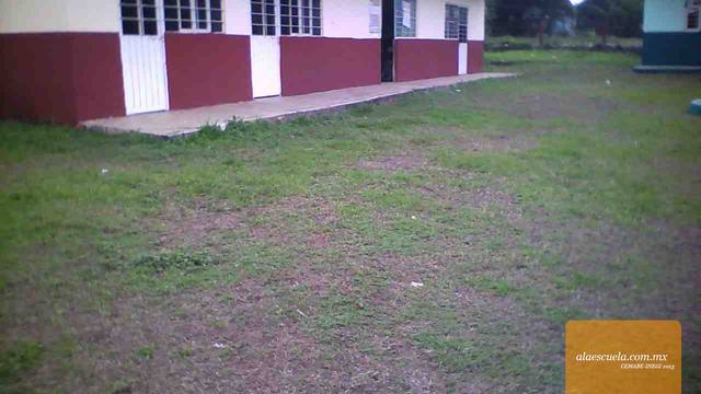 Áreas (vista previa)