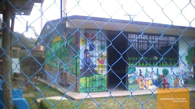 Entrada (vista previa)