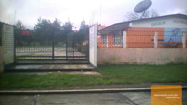 Entrada (vista previa)