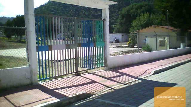 Entrada (vista previa)