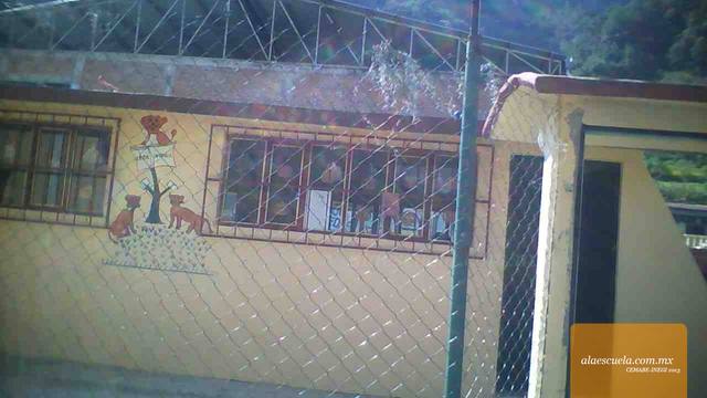 Entrada (vista previa)