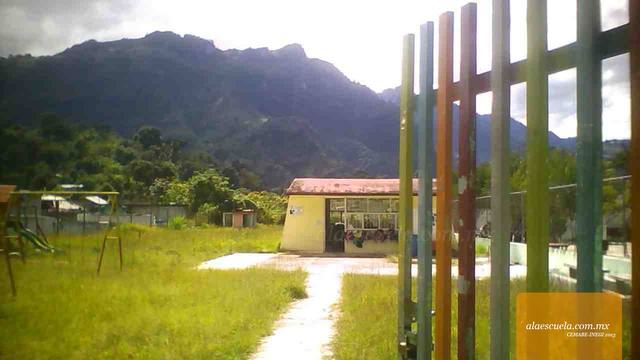 Entrada (vista previa)