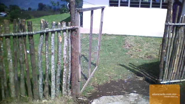 Entrada (vista previa)