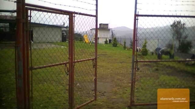 Entrada (vista previa)