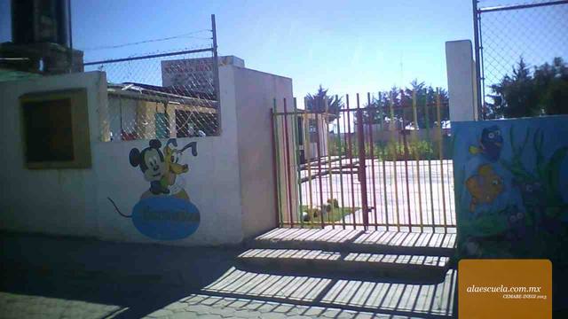 Entrada (vista previa)