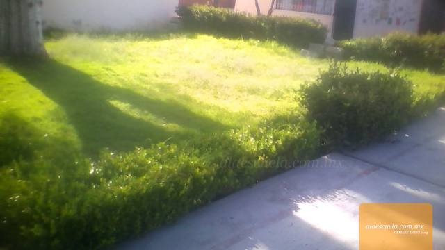 Áreas (vista previa)