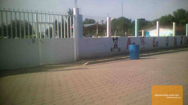 Entrada (vista previa)