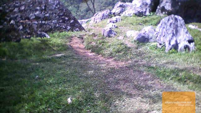 Entrada (vista previa)