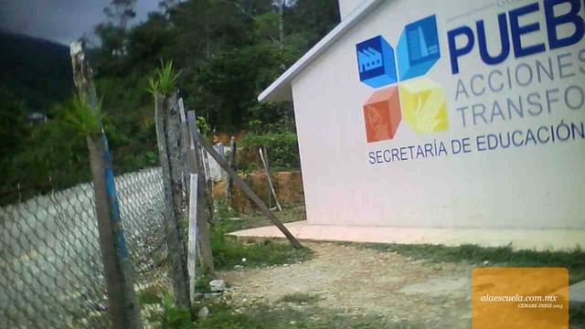 Entrada (vista previa)